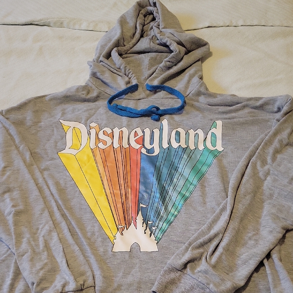 Disney Heather Gray Hoodie
